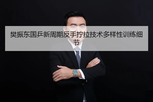 樊振东国乒新周期反手拧拉技术多样性训练细节